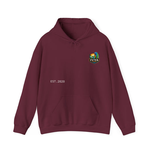 Saint Lucia IVTA Wear Hoodie — Unisex Saint Lucia Pullover